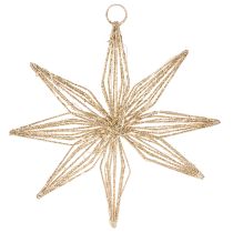 Article Étoile décorative LED en fil de fer à suspendre, 20 LED, blanc chaud, intérieur, 22 cm