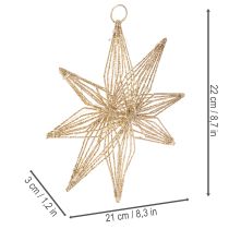 Article Étoile décorative LED en fil de fer à suspendre, 20 LED, blanc chaud, intérieur, 22 cm