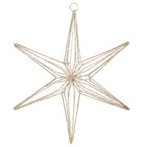 Article Étoile décorative à LED en fil de fer, à suspendre pour l'intérieur, 40 LED, blanc chaud, 42 cm