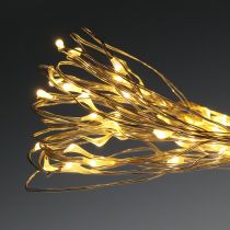Article Guirlande lumineuse à LED 50 amp. 5 m blanc chaud