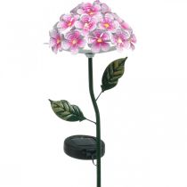 Fleur solaire, décoration de jardin LED, chrysanthème décoratif rose L55cm Ø15cm