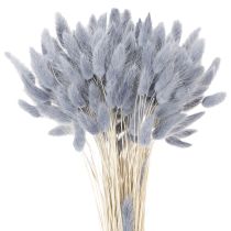 Article Lagurus séché (queue de lièvre) gris pour bouquets de fleurs séchées 60 cm 75 g