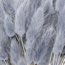 Article Lagurus séché (queue de lièvre) gris pour bouquets de fleurs séchées 60 cm 75 g