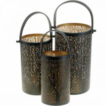 Lanterne en métal, lanterne avec arbre, décoration automne, noir, doré Ø20 / 19 / 14cm H23,5 / 17 / 12,5cm