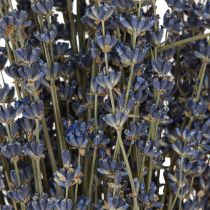 Article Fleurs séchées de lavande Décoration naturelle 100g 40cm 100g × 2pcs