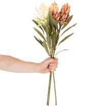 Article Fleur artificielle de Protea Leucadendron à longue tige, 65 cm, lot de 3