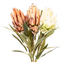 Article Fleur artificielle de Protea Leucadendron à longue tige, 65 cm, lot de 3