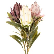 Article Protea artificielle Leucadendron 65 cm, lot de 3