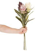 Article Protea artificielle Leucadendron 100 cm, lot de 3
