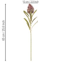 Article Protea artificielle Leucadendron 100 cm, lot de 3