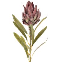 Article Protea artificielle Leucadendron 100 cm, lot de 3