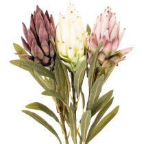 Article Protea artificielle Leucadendron 100 cm, lot de 3