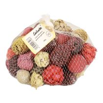 Article Cônes de Leucadendron Bellgum Vert Rouge Jaune Givré 300g