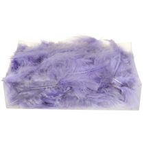Article Plumes violettes fournitures d'artisanat moelleuses printemps 5-10cm 20g