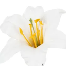 Article Lys artificiel blanc, sur fil de fer, taille moyenne, 35 cm, lot de 5