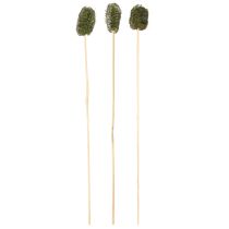 Article Luffa petit sur un bâton éponge concombre vert foncé 5-7 cm 25 pcs