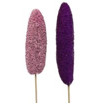 Article Luffa sur bâton grand rose, Erika 8cm - 30cm 25 pcs