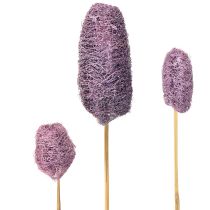 Article Luffa sur tige, petite baie décorative séchée 5-12 cm, 25 pièces