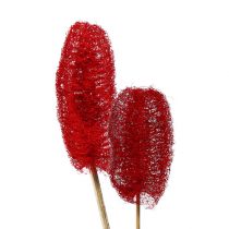 Article Luffa grand sur bâton rouge 25 pcs