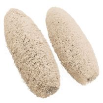 Article Luffa grand blanchi 20 pcs
