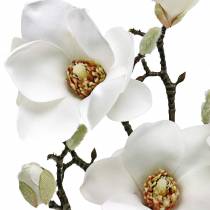 Article Branche de magnolia blanc Branche décorative magnolia fleur artificielle