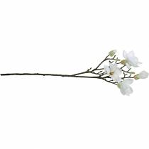 Article Branche de magnolia blanc Branche décorative magnolia fleur artificielle