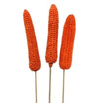 Article Épis de maïs sur bâtonnets orange 20 pcs