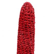 Article Épis de maïs sur bâton rouge, lavés en blanc 20 pcs