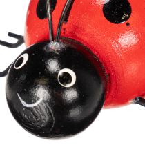 Article Coccinelles en bois porte-bonheur, 5 cm, lot de 6, pour décorer votre intérieur.