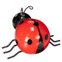 Article Coccinelles en bois porte-bonheur, 5 cm, lot de 6, pour décorer votre intérieur.