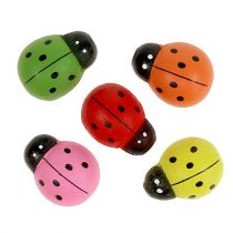 Coccinelles colorées 2,5 cm 60 pièces