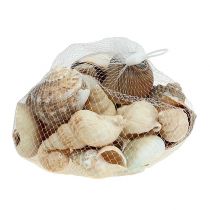 Article Mélange de coquillage déco maritime nature 400g