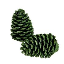 Article Cônes Maritima 10cm - 16cm vert givré 12 pcs