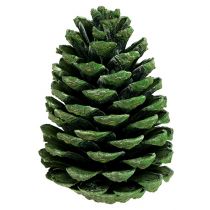 Article Cônes Maritima 10cm - 16cm vert givré 12 pcs