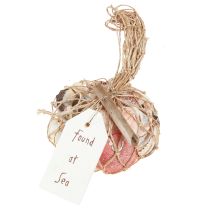 Article Coquillages décoratifs maritimes mélangés dans le filet coloré 3,5-6cm 300g × 3pcs