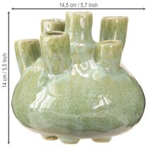 Article Vase Décoration Maritime Motif Corail Vert Clair Ø14.5cm H14cm