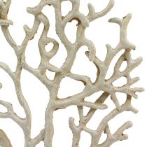 Article Décoration de table maritime beige corail décoratif corail polyrésine H20cm