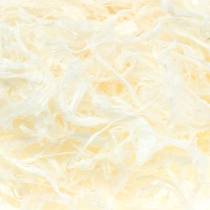 Article Coton mûrier blanchi 150g