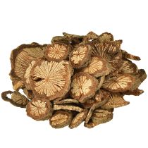 Article Mini disques en bois décoration noix de bétel avec grain 1-4,5 cm 300 g
