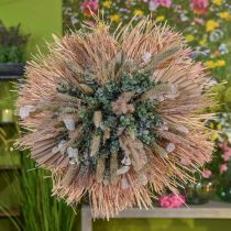 Article Mini feuille de palmier Palmspear séché Nature 33-34cm 4pcs
