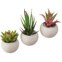 Article Mini Plantes Succulentes en Pot Plantes Artificielles Décoration Ø6,5cm 6pcs