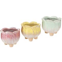 Article Mini jardinière en céramique, pot de fleurs assorti Ø8cm H7cm 3pcs