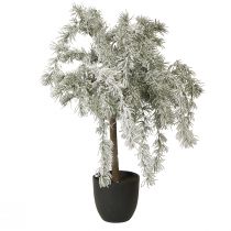 Article Mini Sapin de Noël en Pot Cèdre Neige Artificiel H60cm