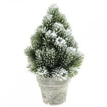 Mini sapin de Noël en pot enneigé artificiellement Ø14cm H24cm