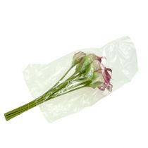 Article Mini calla artificielle 28cm Erika, crème 12 pcs