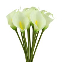 Article Mini calla artificielle blanc L 28cm 12 pcs