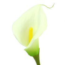 Article Mini calla artificielle blanc L 28cm 12pcs