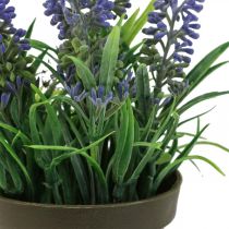 Article Mini lavande en pot plante artificielle décor lavande H16cm