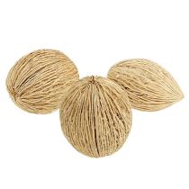 Article Fruits de cerbera blanchies Déco naturelle 8-10cm 10 pièces
