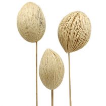 Article Boule Mintolla blanchie 8cm - 10cm L46cm 6 pcs